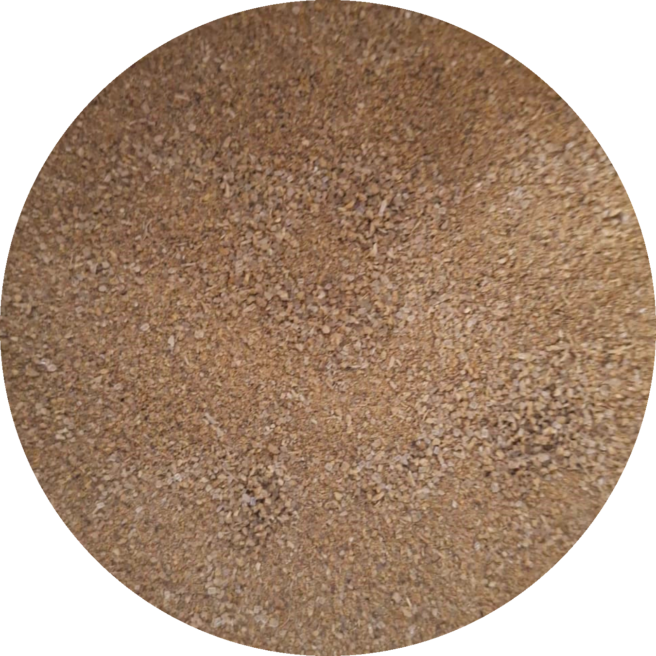 Épice Babosa numéro 12