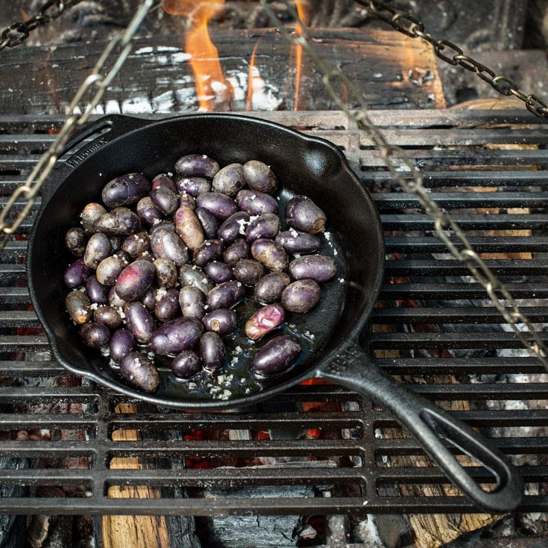 Pentola da fuoco Petromax fp25 con manico