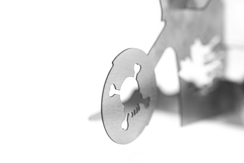 Porta pollos Babossa, moto