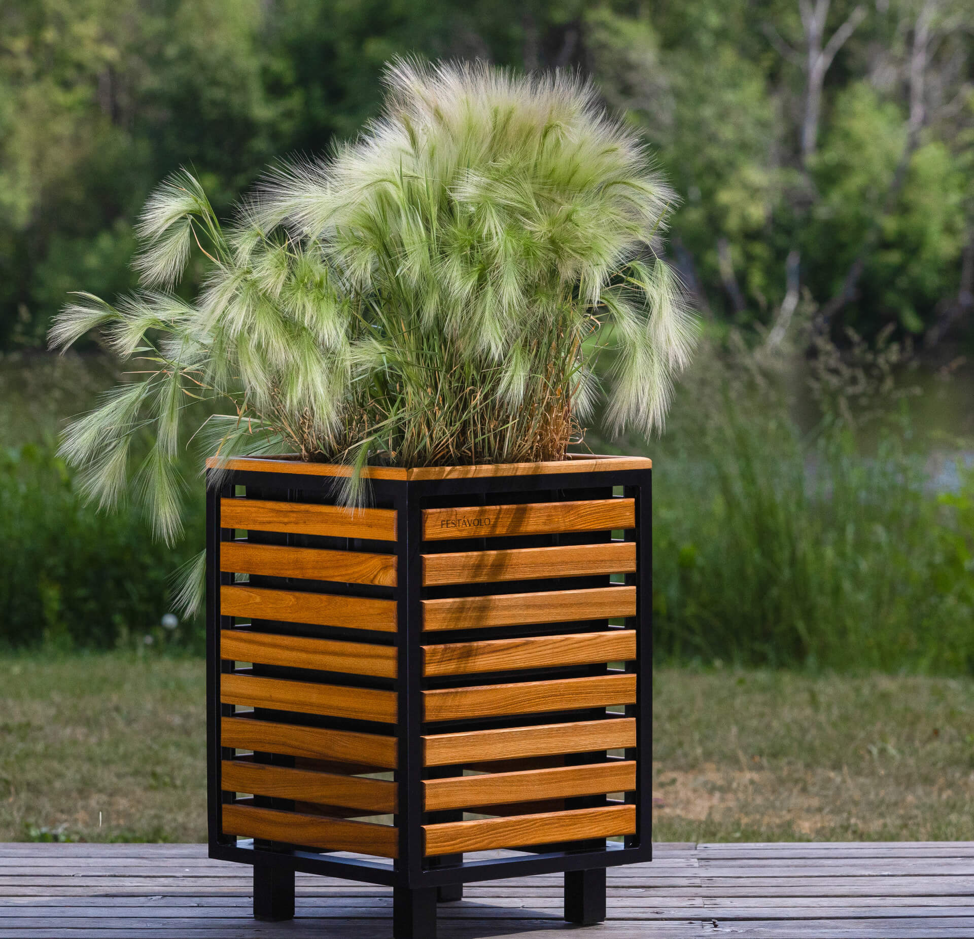 Sadzarka Festavolo PRIMO