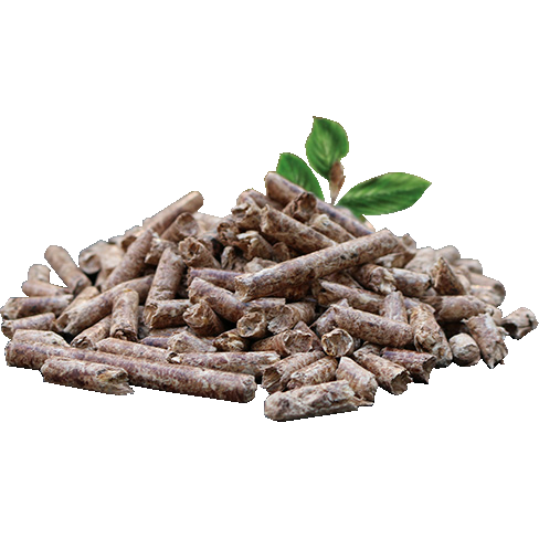 Gránulos de haya 15 kg