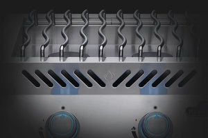 Napoleon 700 series double side burner, large, Built-In